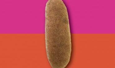صورة توضيحية - مخبز Belicious Bakes يشتهر بتقديمه أجود أنواع خبز الـ BAGUETTE