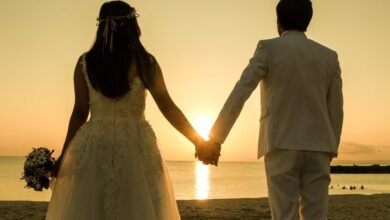 بحسب تقارير، فينيس وكلوديا تعرّفا عبر تطبيق تعارف عام 2018