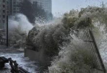 مجموعة China Railway Shanghai تعلن تعليق خطوط قطارات في تشجيانغ بسبب ساوديل