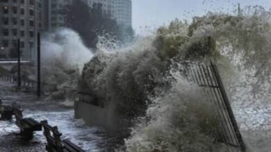 مجموعة China Railway Shanghai تعلن تعليق خطوط قطارات في تشجيانغ بسبب ساوديل