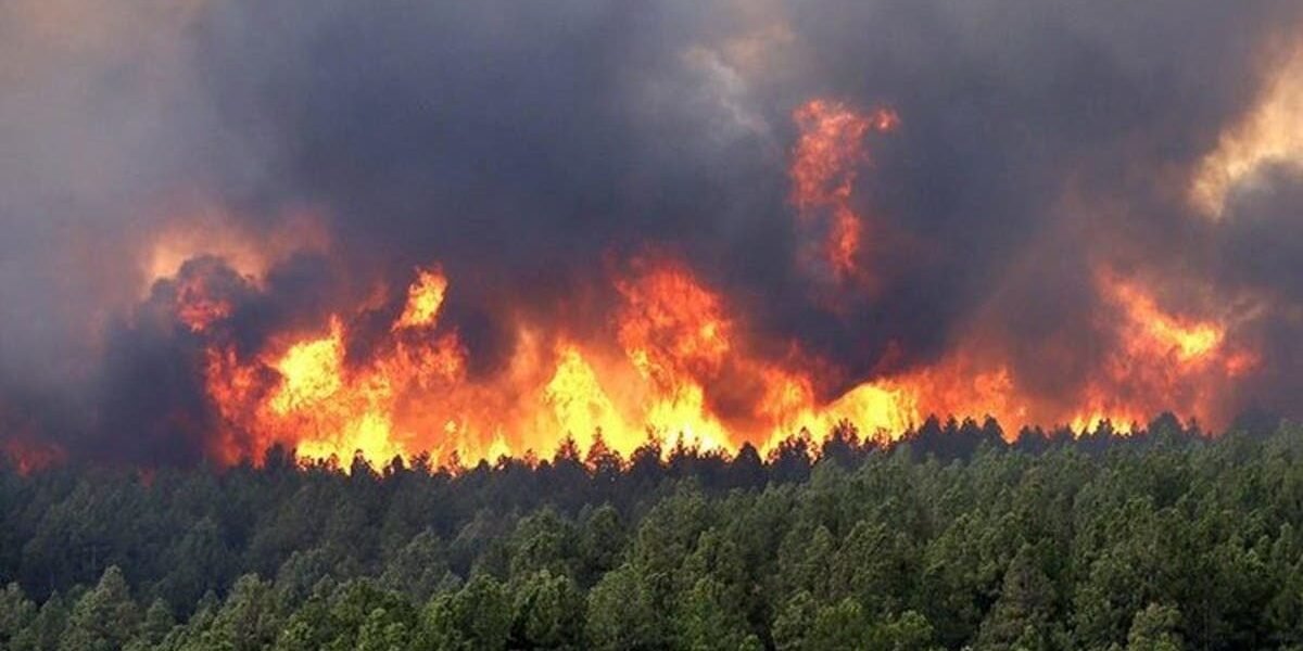 الحرائق في الجزائر تودي بحياة 34 شخصاً