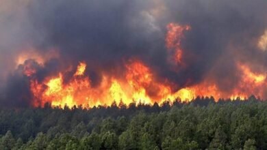 الحرائق في الجزائر تودي بحياة 34 شخصاً