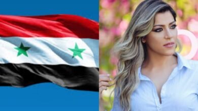 الفنانة شيرين سايس تغني لسوريا