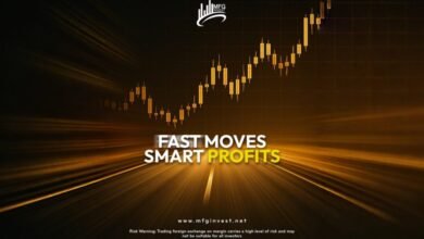 شركة MFGinvest تعتمد نهجًا مبتكرًا في إدارة الأصول والاستثمار